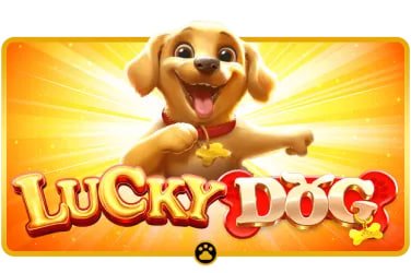 444bet apk